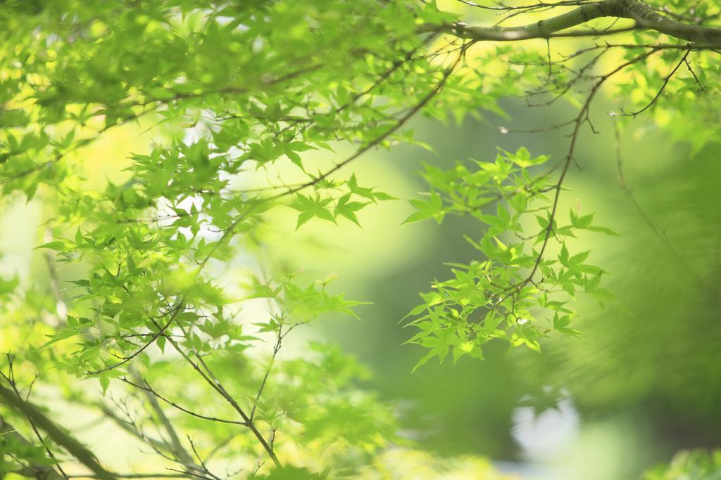 Oushuku Onsen Choeikan Shizukuishi Esterno foto